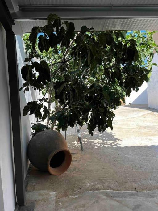 Agradable Casa Con Chimenea Interior Y Barbacoa. Villa Graja de Iniesta Eksteriør bilde